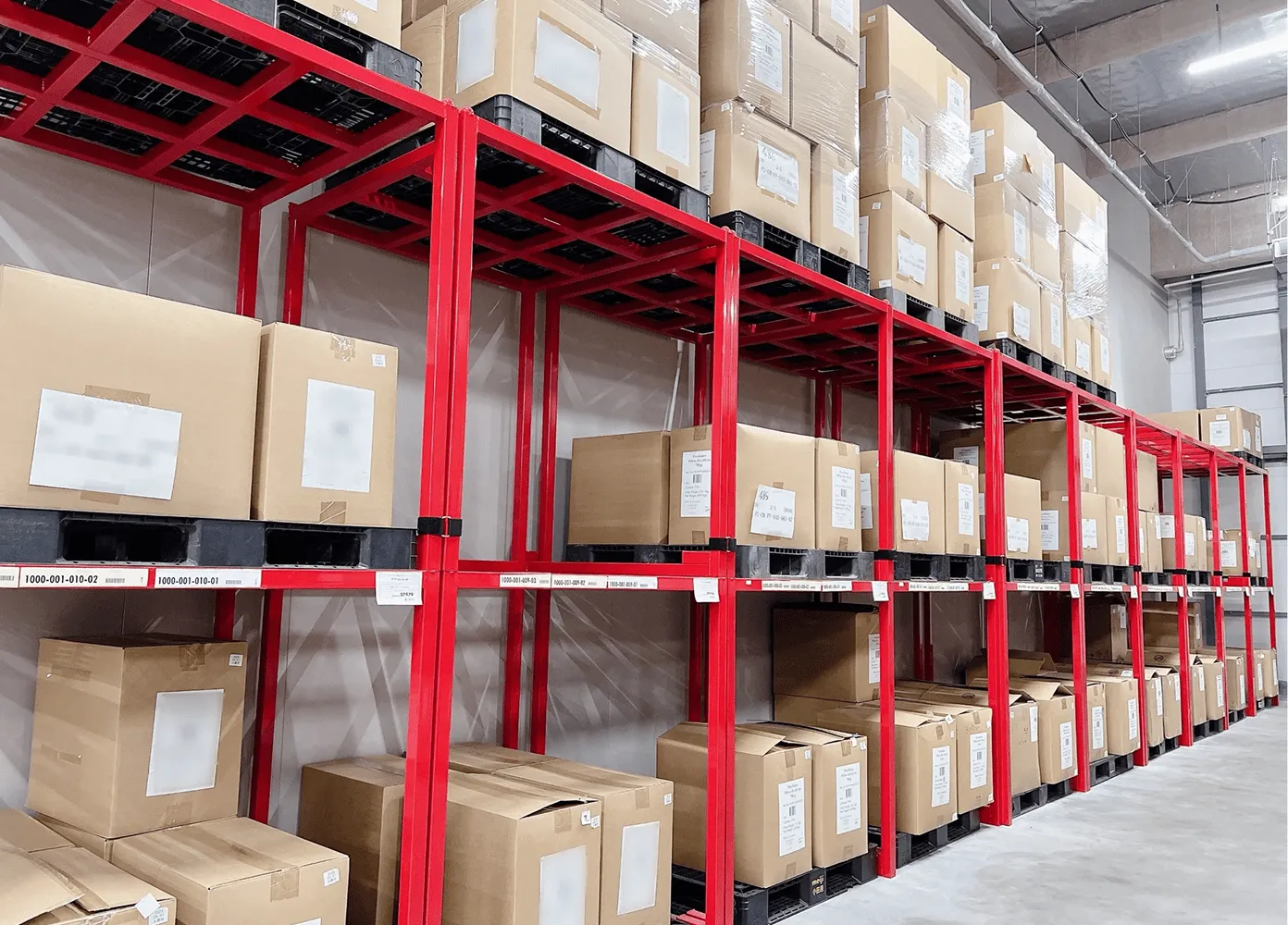 ECの裏側を、強くする。